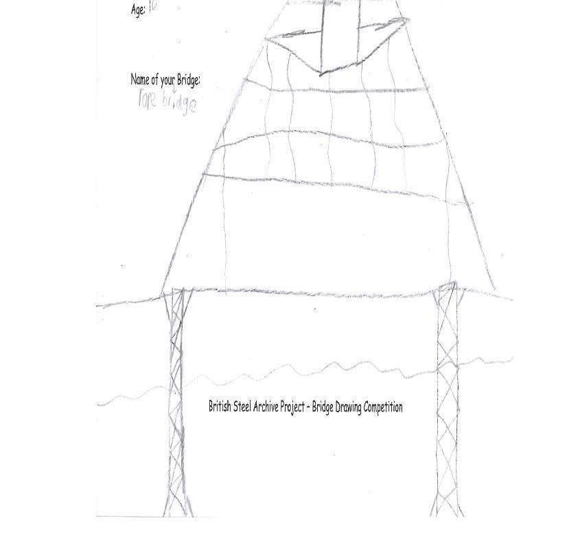 rope bridge by Thomas Hoyle